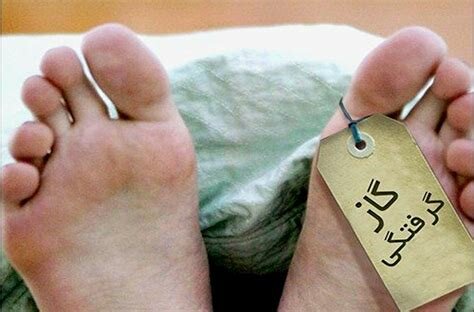 هشدار حتما بخوانید | مرگ باورنکردنی و تلخ 17 نفر از هموطنان